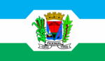 Bandeira do Municipio de Faxinal